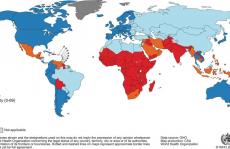 肿瘤治疗的新“利器”—超分子卟啉光催化剂