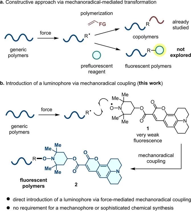 Hajime Ito教授Angew. Chem.：商用聚合物的简便功能化,图片,商用聚合物,发光基体,荧光强度,球磨条件,机械力自由基,第1张