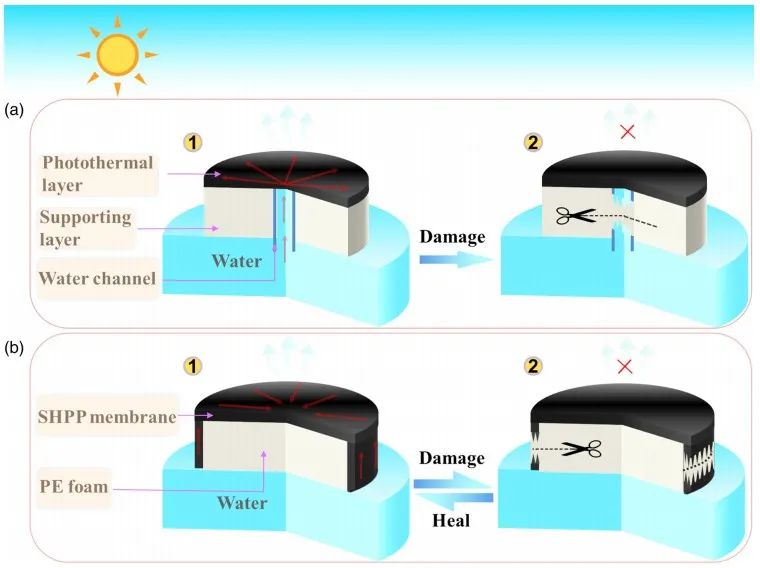 自修复亲水多孔光热膜材料助力太阳能水蒸发技术,图片,淡水资源短缺,水蒸发技术,多孔光热膜,太阳能驱动,亲水性,第1张