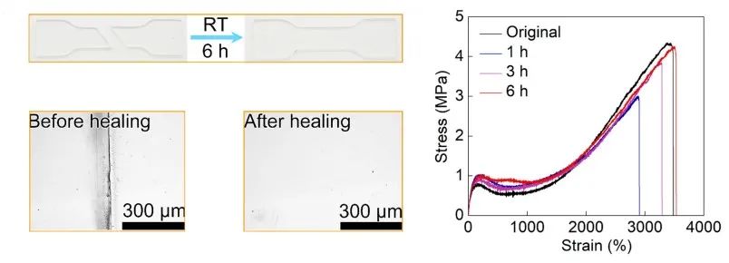 自修复亲水多孔光热膜材料助力太阳能水蒸发技术,图片,淡水资源短缺,水蒸发技术,多孔光热膜,太阳能驱动,亲水性,第3张
