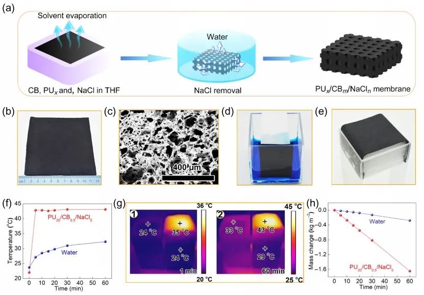 自修复亲水多孔光热膜材料助力太阳能水蒸发技术,图片,淡水资源短缺,水蒸发技术,多孔光热膜,太阳能驱动,亲水性,第4张