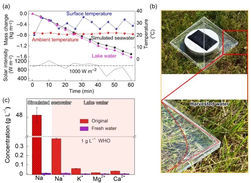 自修复亲水多孔光热膜材料助力太阳能水蒸发技术,图片,淡水资源短缺,水蒸发技术,多孔光热膜,太阳能驱动,亲水性,第6张