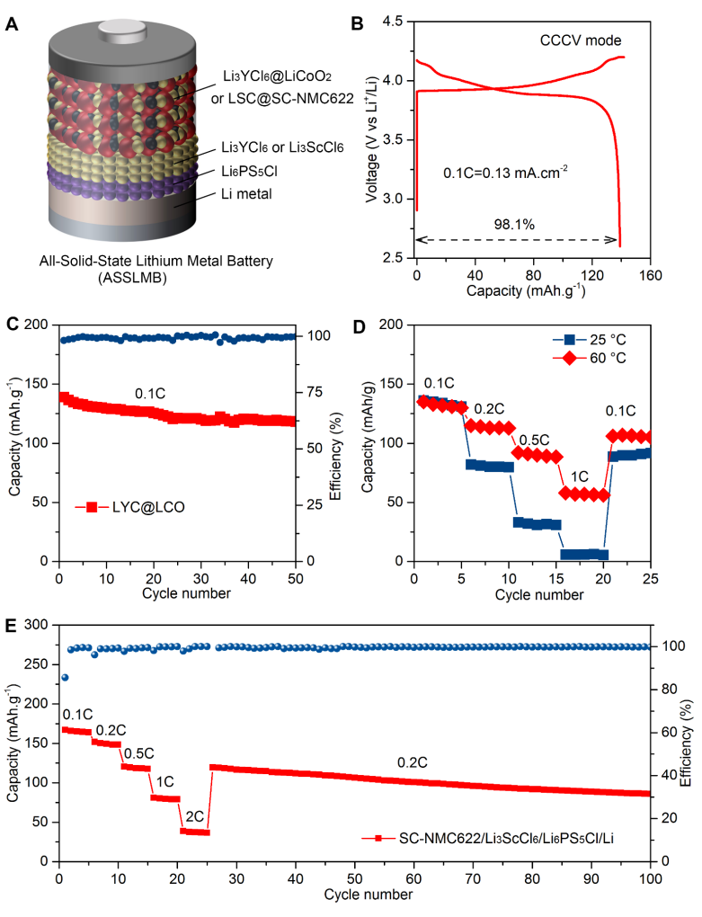 孙学良Science Advances:液相化学法合成固态卤化物电解质,图片,铵辅助湿化学,卤化物电解质,液相化学法,锂金属,阳极界面反应,第6张
