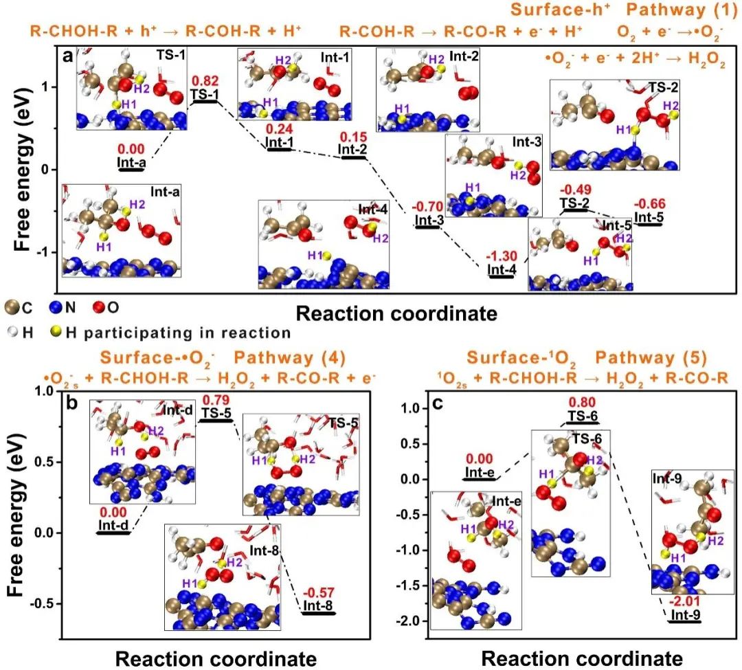 湖大ACS Catal.:光催化产H2O2活性氧直接攻击和间接转移机理,图片,光催化水分解,光催化技术,大肠杆菌的消毒,PHP反应机理,空穴（h+）,第5张