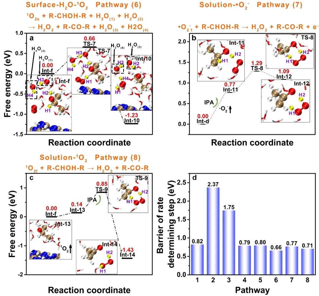 湖大ACS Catal.:光催化产H2O2活性氧直接攻击和间接转移机理,图片,光催化水分解,光催化技术,大肠杆菌的消毒,PHP反应机理,空穴（h+）,第6张