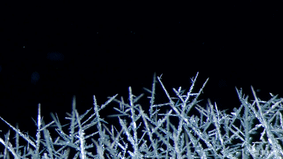 中国学霸用化学方程式拍片，拿国际大奖惊艳全世界!,图片,美丽科学,化学实验,氯化钴,重铬酸钾结晶,浓硫酸,第9张