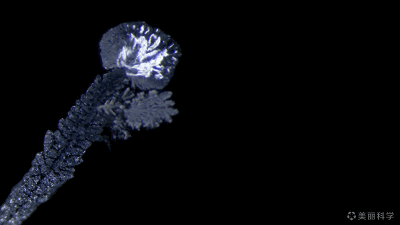 中国学霸用化学方程式拍片，拿国际大奖惊艳全世界!,图片,美丽科学,化学实验,氯化钴,重铬酸钾结晶,浓硫酸,第18张