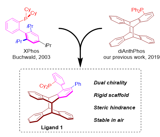 中科院理化所丛欢课题组：蒽光二聚体衍生单膦配体的合成及其应用,图片,钯催化,去对称化分子间碳氮偶联反应,刚性双手性骨架,合成方法学,蒽光二聚体骨架,第6张
