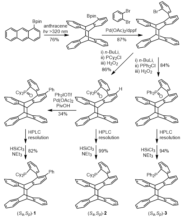 中科院理化所丛欢课题组：蒽光二聚体衍生单膦配体的合成及其应用,图片,钯催化,去对称化分子间碳氮偶联反应,刚性双手性骨架,合成方法学,蒽光二聚体骨架,第7张
