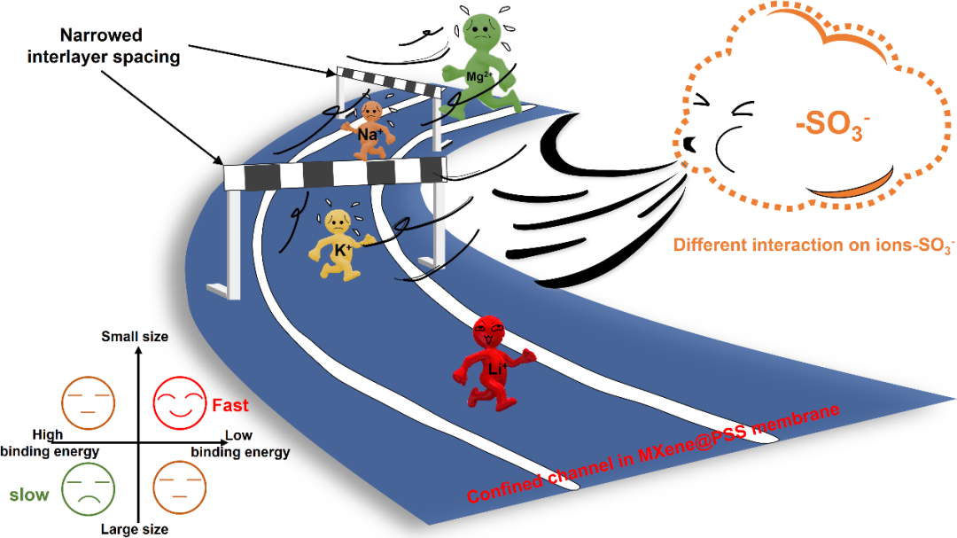 王海辉/魏嫣莹Angew：限域通道协同化学环境快速传输锂离子,图片,限域尺寸,化学环境,离子传输,选择性分离领域,二维限域通道,第1张