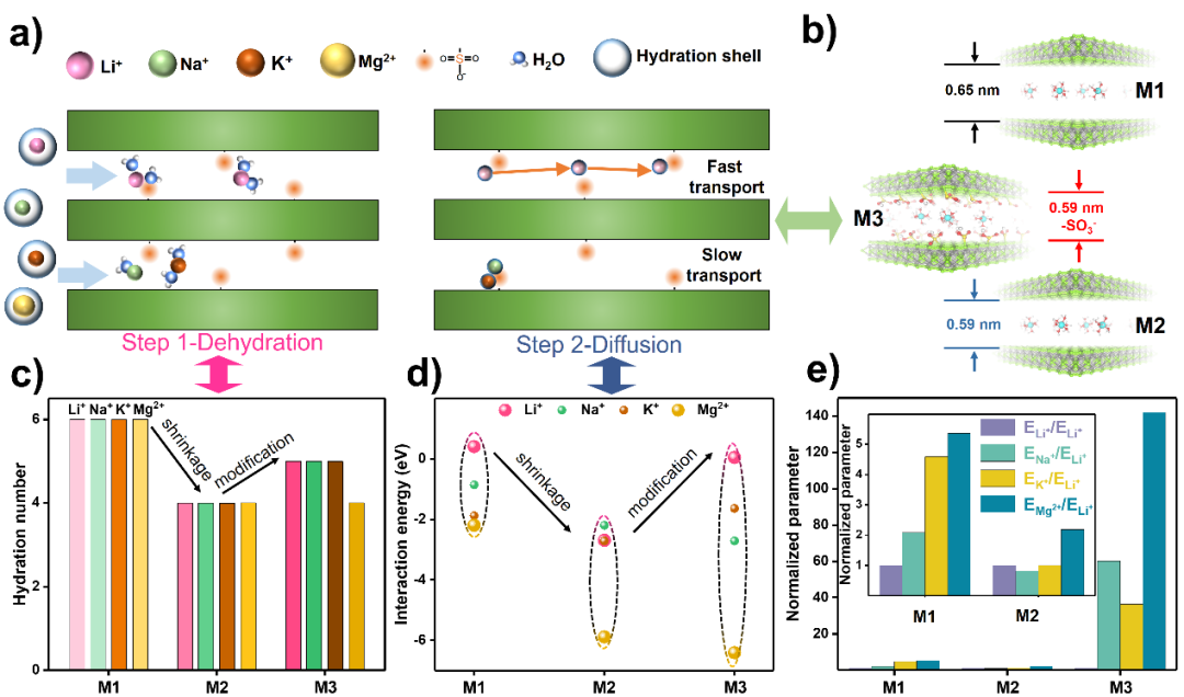 王海辉/魏嫣莹Angew：限域通道协同化学环境快速传输锂离子,图片,限域尺寸,化学环境,离子传输,选择性分离领域,二维限域通道,第2张