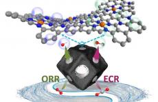 南开焦丽芳今日Angew. Chem.：原子级分散锑催化剂用于ORR！