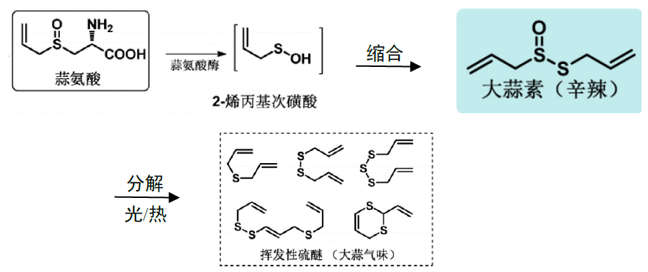 科普 | 辣味小传,图片,科普,食品,肿瘤,抗氧化,原子,辣椒,大蒜,第5张