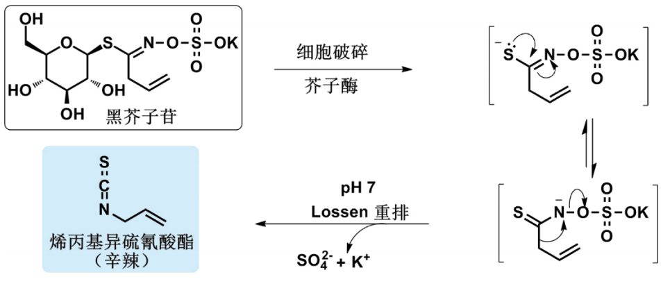 科普 | 辣味小传,图片,科普,食品,肿瘤,抗氧化,原子,辣椒,大蒜,第6张