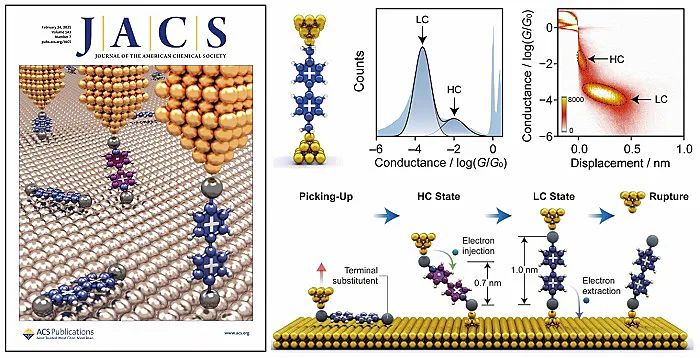 浙大陈洪亮JACS:电子催化的单分子反应,图片,光谱,活性,化学实验,官能团,分子,电子催化,单原子反应,第1张