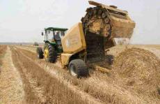 图文并茂！寻宝记之农业废弃物