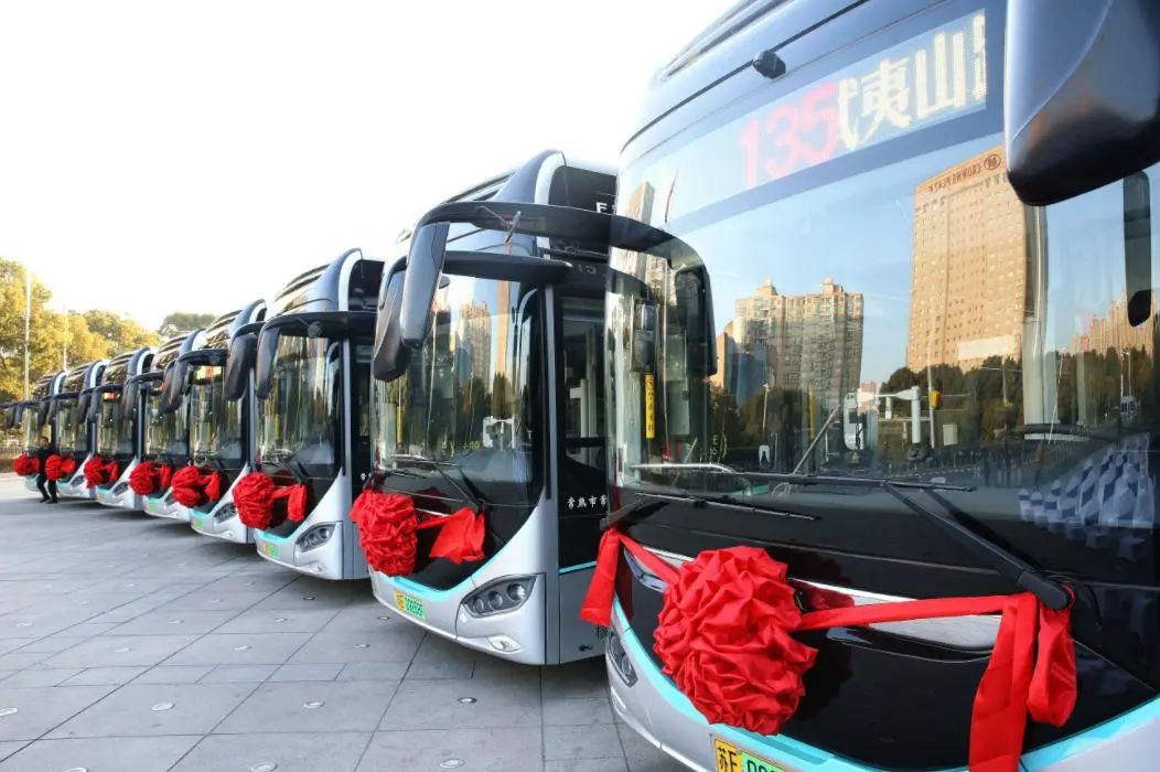 氢能和燃料电池技术促进能源转型,图片,聚合物,低碳,碳氢化合物,活性,能源转型,第4张