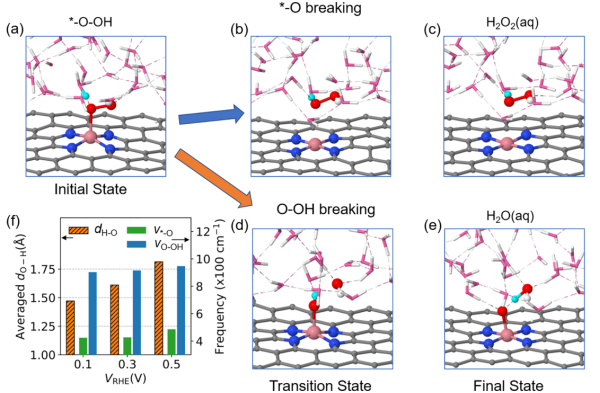 UT Austin刘远越JACS：氧气电还原制双氧水高选择性的秘密,图片,金属催化,氧还原,电还原,分子,电催化,双氧水,第2张