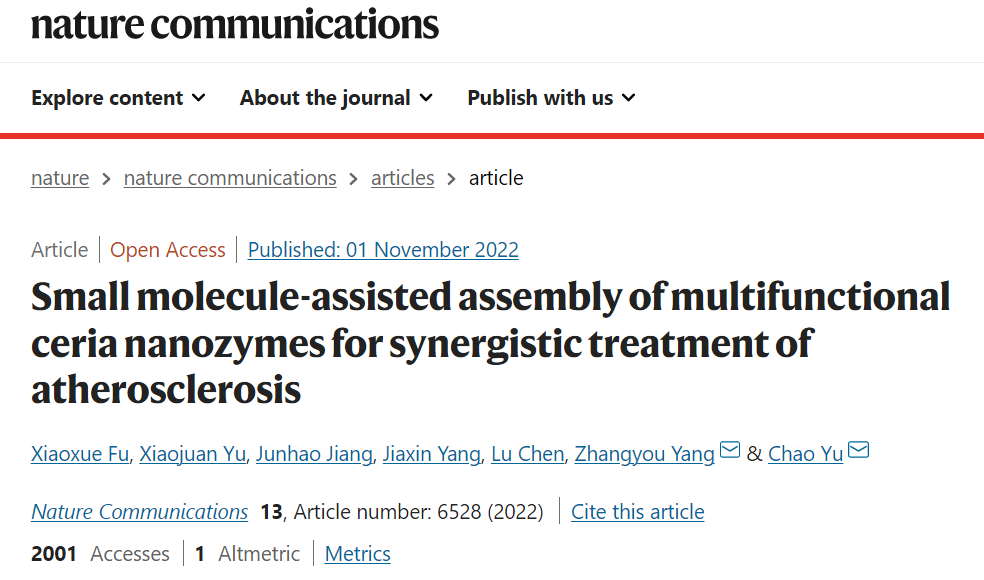 IUPAC 2022化学领域十大新兴技术 | 后起之秀—“纳米酶”,图片,化学领域,新兴技术,纳米酶,聚合物,锂离子,第3张