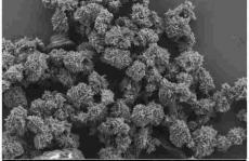 中科院化学所Nat. Commun.: 有机单晶p-n异质结，小于5 nm！