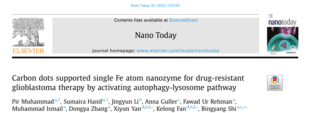 IUPAC 2022化学领域十大新兴技术 | 纳米酶,图片,纳米酶,2022年度化学领域十大新兴技术,纳米材料,多学科交叉,生物医学,第4张