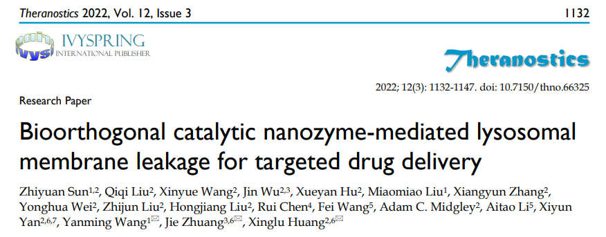 IUPAC 2022化学领域十大新兴技术 | 纳米酶,图片,纳米酶,2022年度化学领域十大新兴技术,纳米材料,多学科交叉,生物医学,第3张