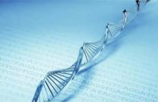 用BioPro SmartSep纯化单克隆抗体