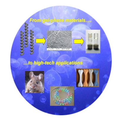  天啊，这就是一篇Nature Chemistry！同学，你手头的合成路线可以简化简化了,图片,合成路线,简化,有机锂试剂,手套,反应体系,第6张