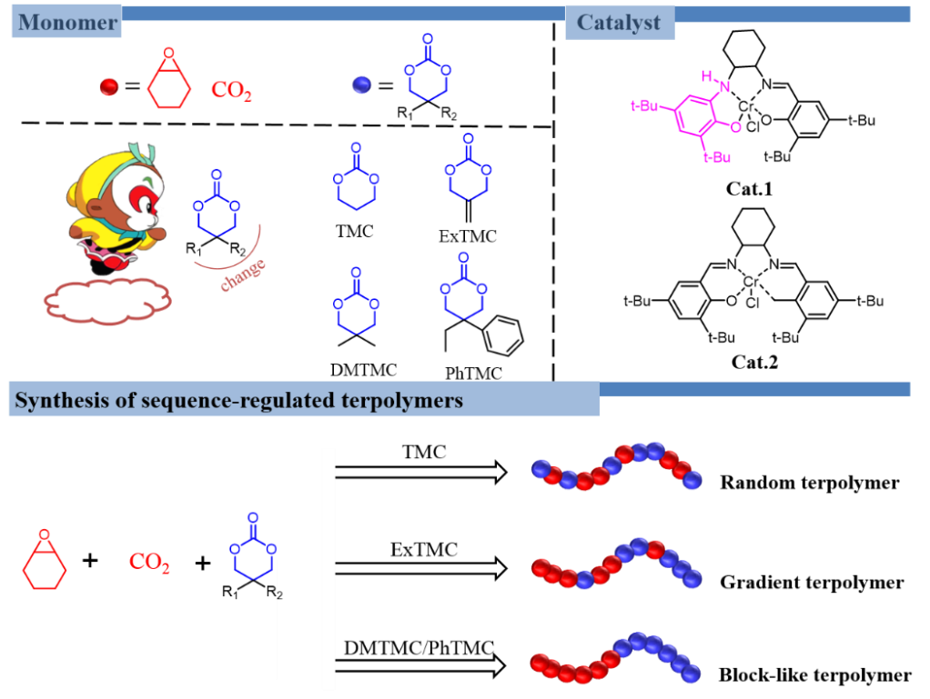 长春应化所陈学思院士/庞烜研究员 Macromolecules：在多元聚碳酸酯材料序列结构调控方向取得进展,图片,多元聚碳酸酯材料,序列结构,高分子材料,自然资源,生态环境,第2张
