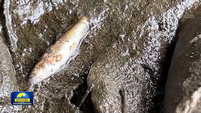 毒云漫天！氯乙烯究竟有多危险？,图片,氯乙烯,列车脱轨,有机化合物,致癌物,受控燃烧,第3张