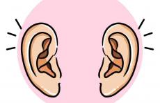 我们能从耳垢中学到什么？色谱法探索你的耳朵！