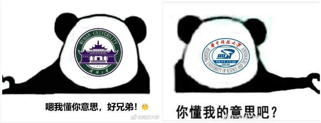 冲上热搜！“新C9”来了？,图片,C9,高端人才通行证计划,落户香港,全球百强大学,人才,第3张