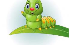 登上Science头条！仿毛毛虫机器人！