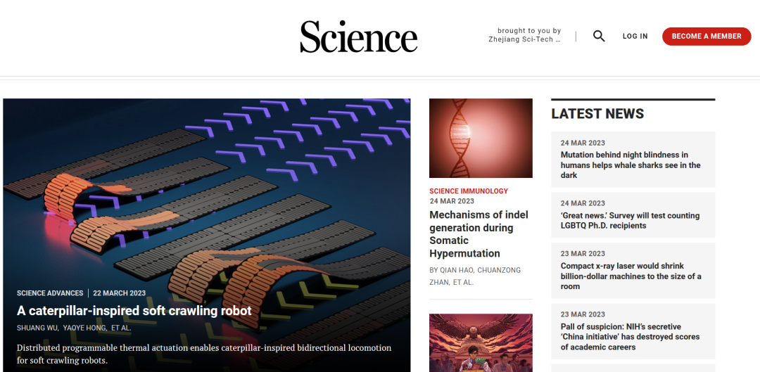 登上Science头条！仿毛毛虫机器人！,图片,软机器人,生物医学工程,手术辅助,远程操作,可编程,第1张