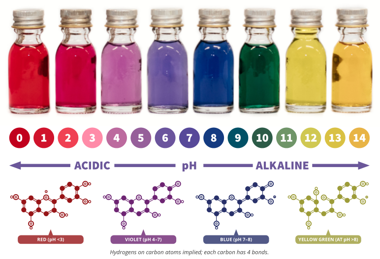 从甄嬛传“银针试毒”看生活中的化学小现象,图片,紫甘蓝,银针试毒,鸡蛋黄发青,化学知识,砒霜,第6张