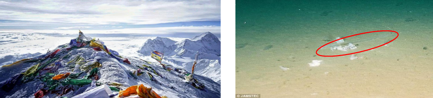 塑料你知多少,图片,塑料,PET酶活性,生物降解,高分子化合物,回收等级,第1张