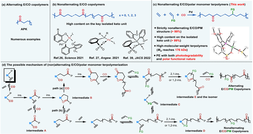 塑料你知多少,图片,塑料,PET酶活性,生物降解,高分子化合物,回收等级,第5张