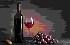 进口葡萄酒和起泡葡萄酒的分析：用于中国海关检查的半自动化实验室测量系统