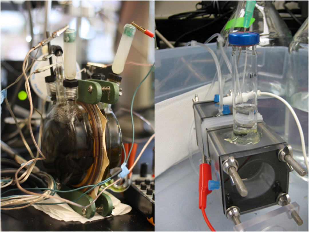 微生物电化学系统中阳极的最新研究进展,图片,细胞,大肠杆菌,发电,有机物,系统,第1张