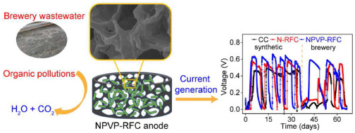 微生物电化学系统中阳极的最新研究进展,图片,细胞,大肠杆菌,发电,有机物,系统,第2张