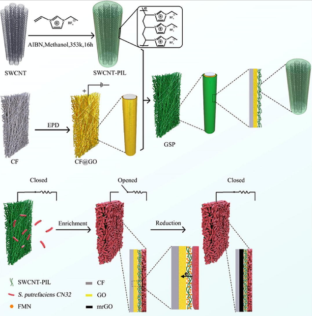 微生物电化学系统中阳极的最新研究进展,图片,细胞,大肠杆菌,发电,有机物,系统,第4张