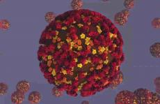 权威杂志科普争论，对正在纠结新冠加强苗接种的人们或有帮助