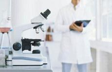 流动相脱气的基本原理