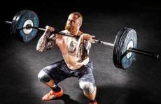 蚊子越来越强壮了吗？色谱法研究