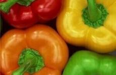 食品安全检测用的分析仪器