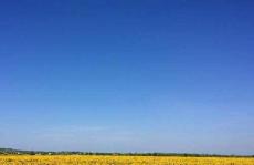 空气中的碘-色谱法研究