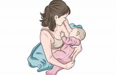 清洁环境确实有效-加州有毒母乳