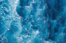 色谱法鉴定一种难以捉摸的天然蓝色食品