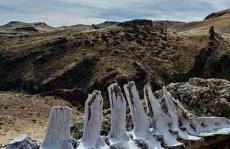 尼安德特人是什么时候失踪的色谱法检查日期