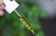 发现CBD欺诈色谱法研究